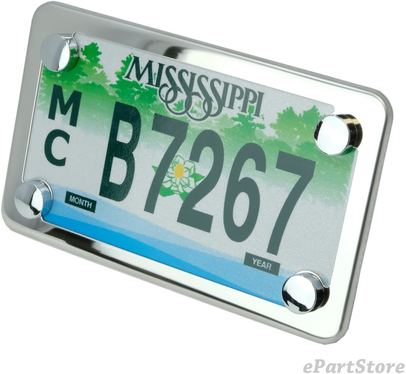 LFPartS Motorcycle License Plate and Frame